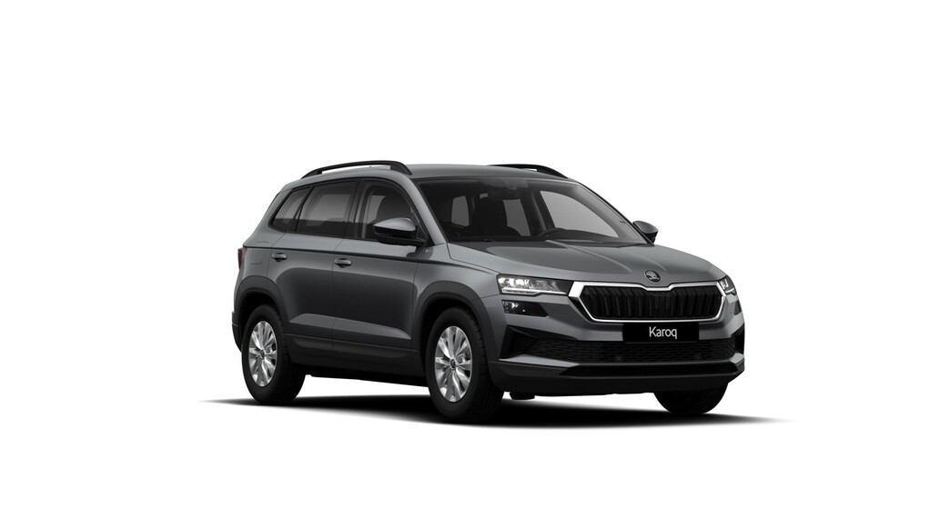 &Scaron;koda Karoq, Classic