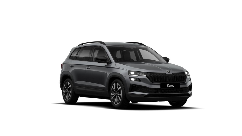 &Scaron;koda Karoq, Dynamic