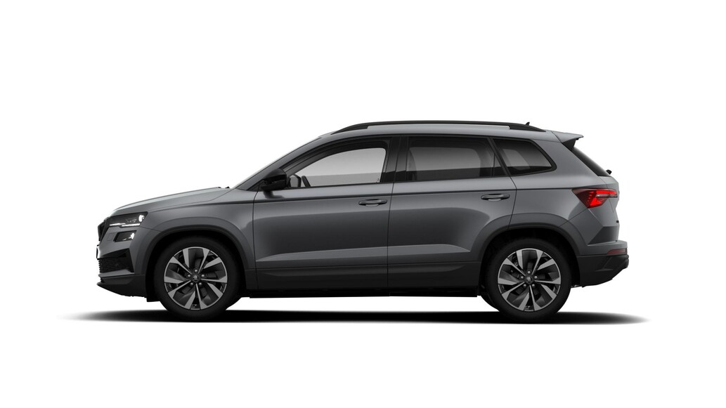 &Scaron;koda Karoq, Dynamic