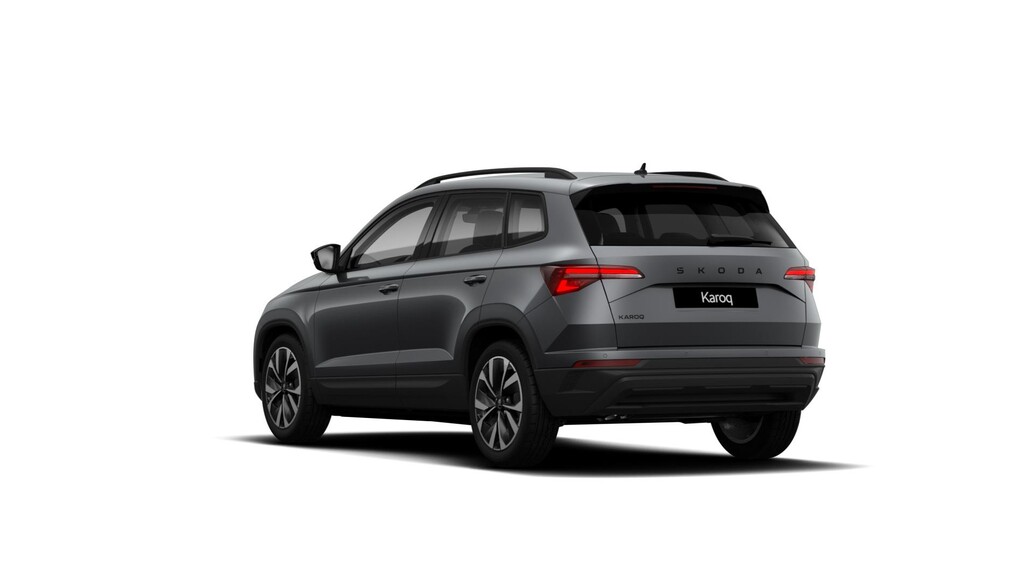 &Scaron;koda Karoq, Dynamic
