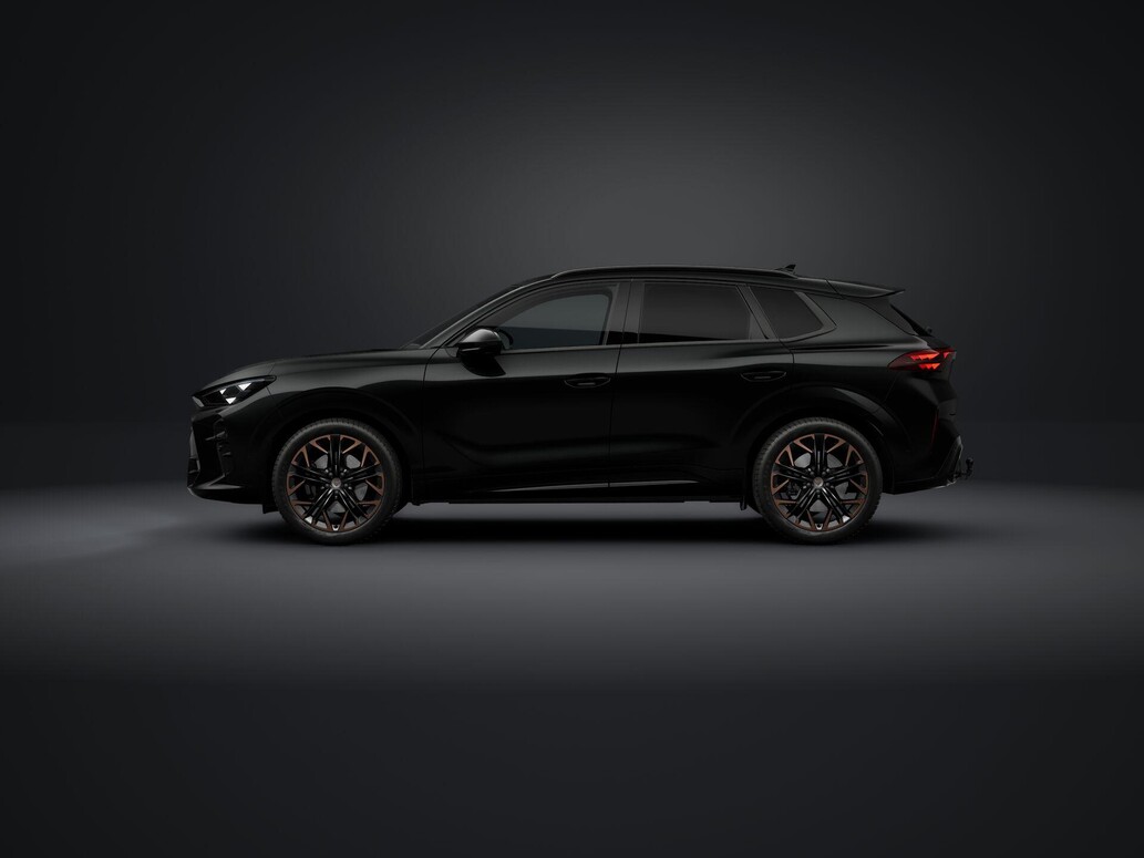 CUPRA Terramar, VZ