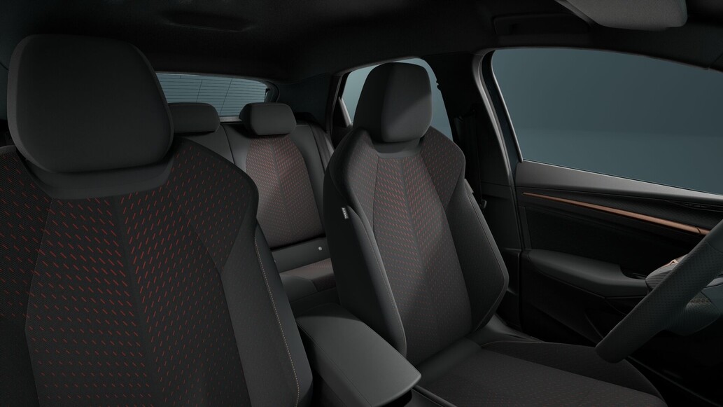 CUPRA Raval, Plus