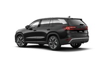 Škoda Kodiaq, Exclusive Selection