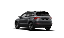 &Scaron;koda Karoq, Dynamic