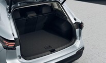 Volkswagen Tiguan, People