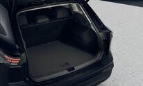 Volkswagen Tiguan, People