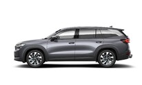 &Scaron;koda Kodiaq, Exclusive Selection