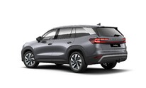 Škoda Kodiaq, Exclusive Selection