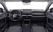 Škoda Kodiaq, Exclusive Selection