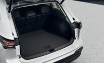 Volkswagen Tiguan, People