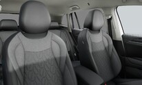 Volkswagen Tiguan, People