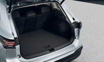 Volkswagen Tiguan, People