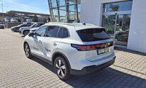 Volkswagen Tiguan, People