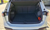 Volkswagen Tiguan, People