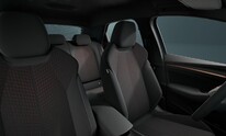 CUPRA Raval, Plus