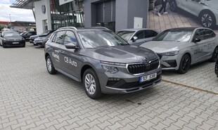 Škoda Kamiq, Top Selection