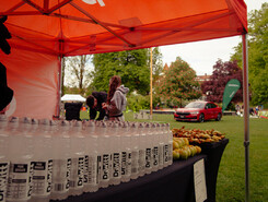 coop_run_2025_auto_1