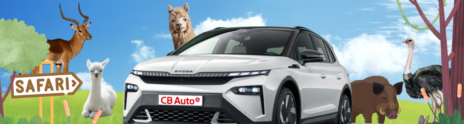 Autosalon Safari Resort