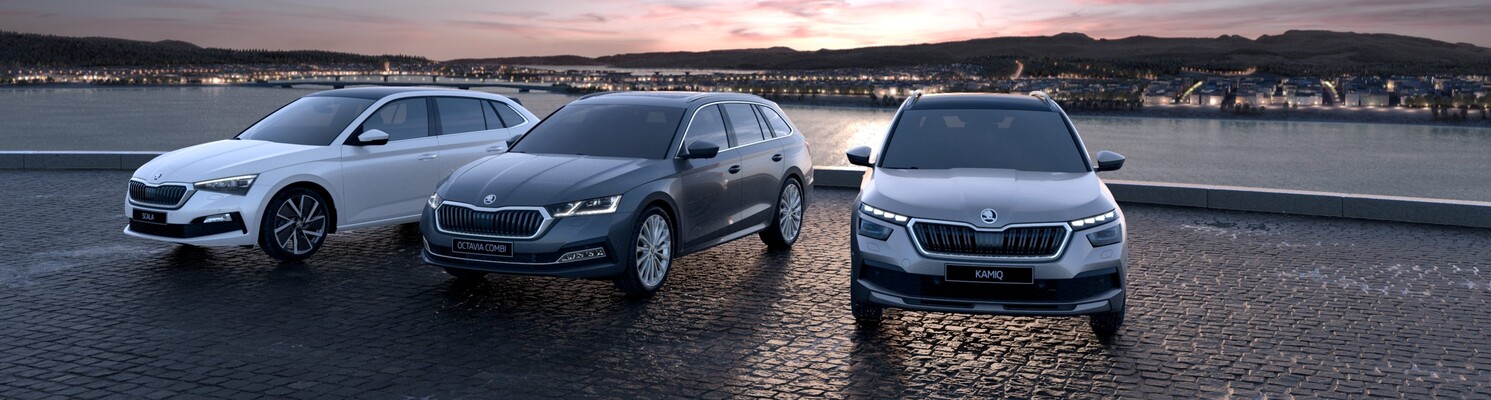 &Scaron;koda bez starost&iacute;!