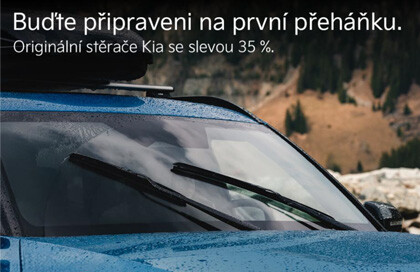 Sez&oacute;nn&iacute; servis Kia