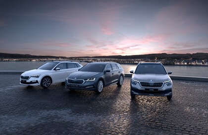 &Scaron;koda bez starost&iacute;!