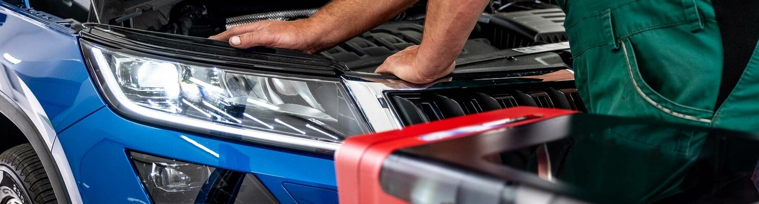 Servisní prohlídky